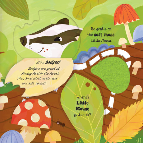 Explore the Woods with Little Mouse