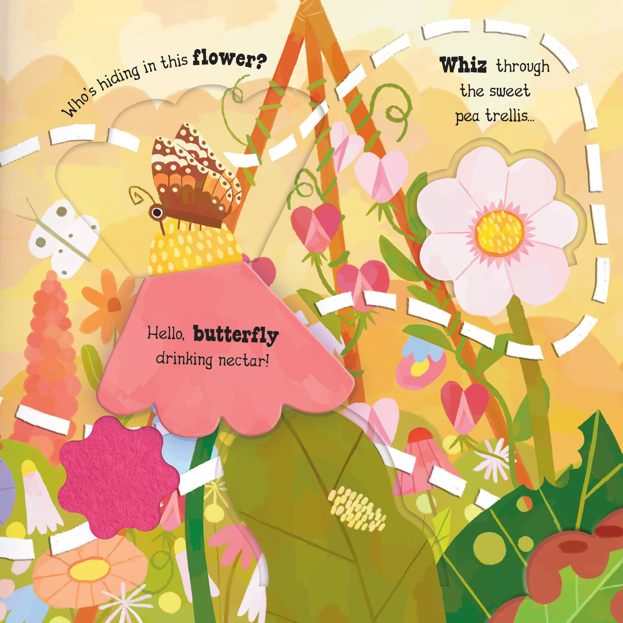 Explore the Garden with Little Bee