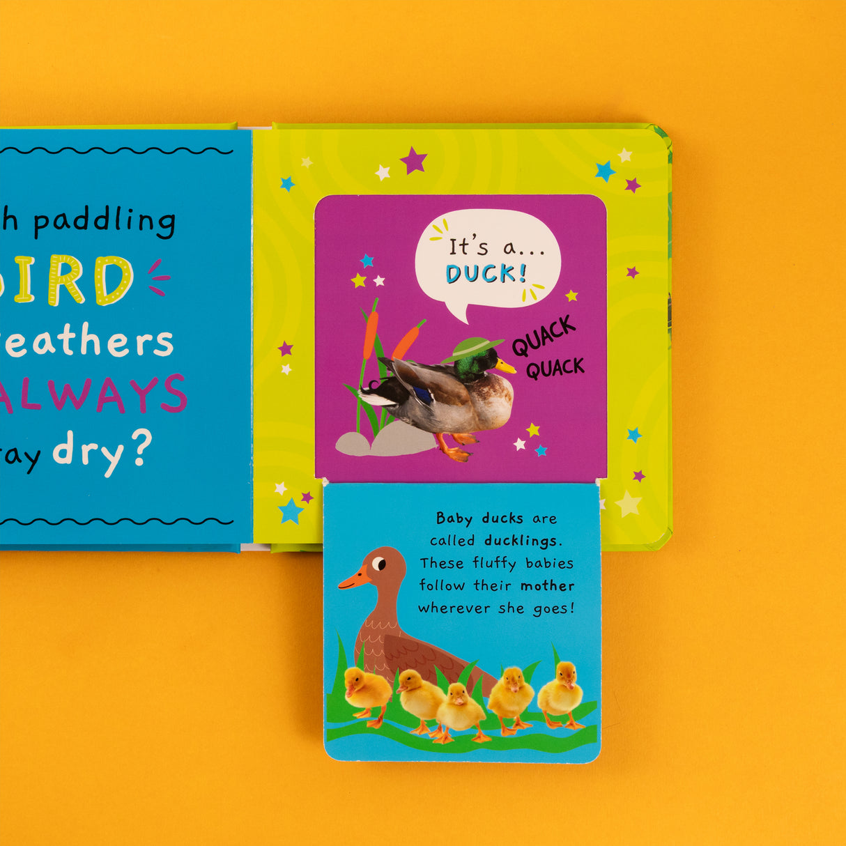 My First Facts Animals – Learning Lift-the-Flap Board Book