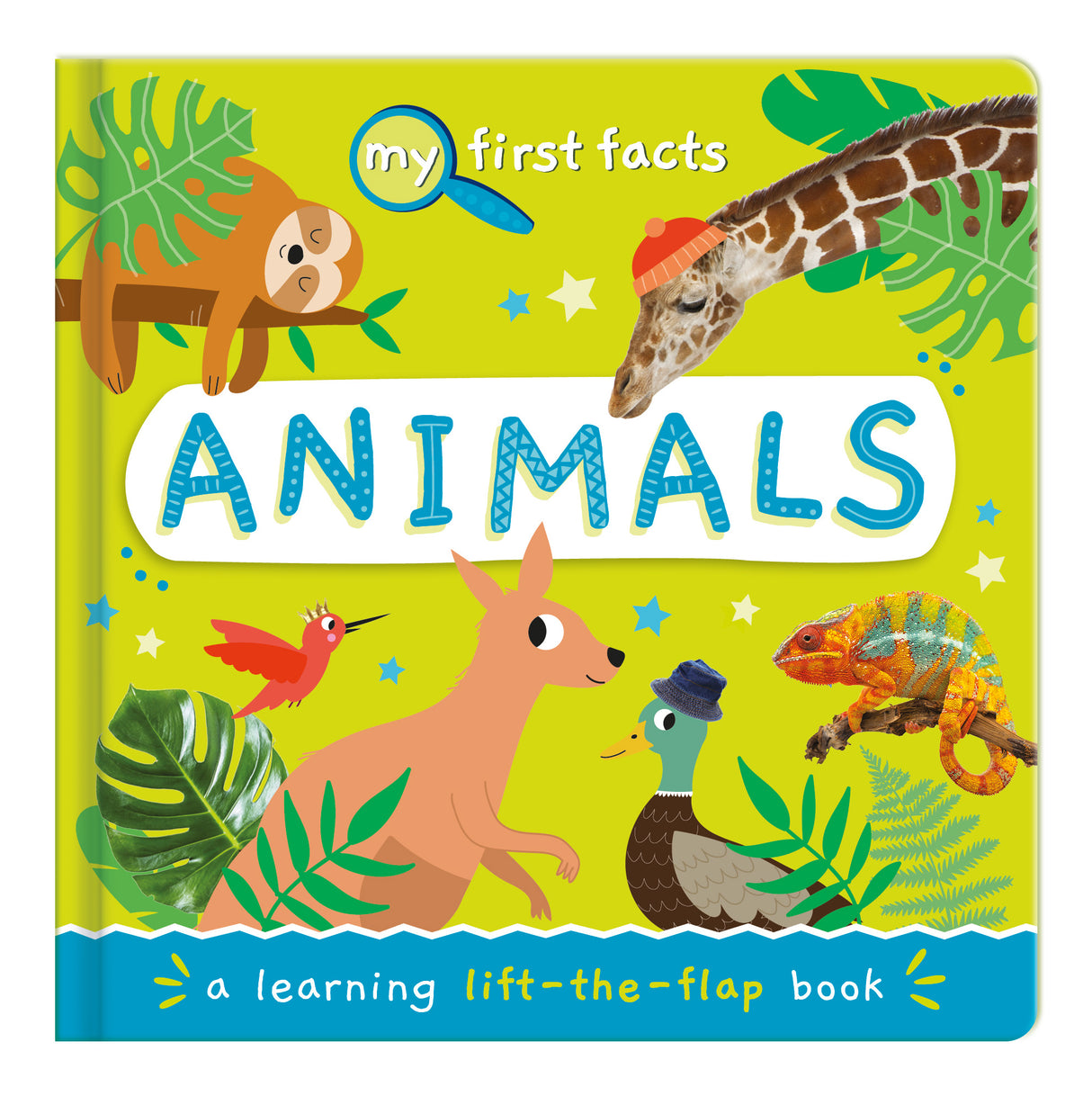 My First Facts Animals – Learning Lift-the-Flap Board Book