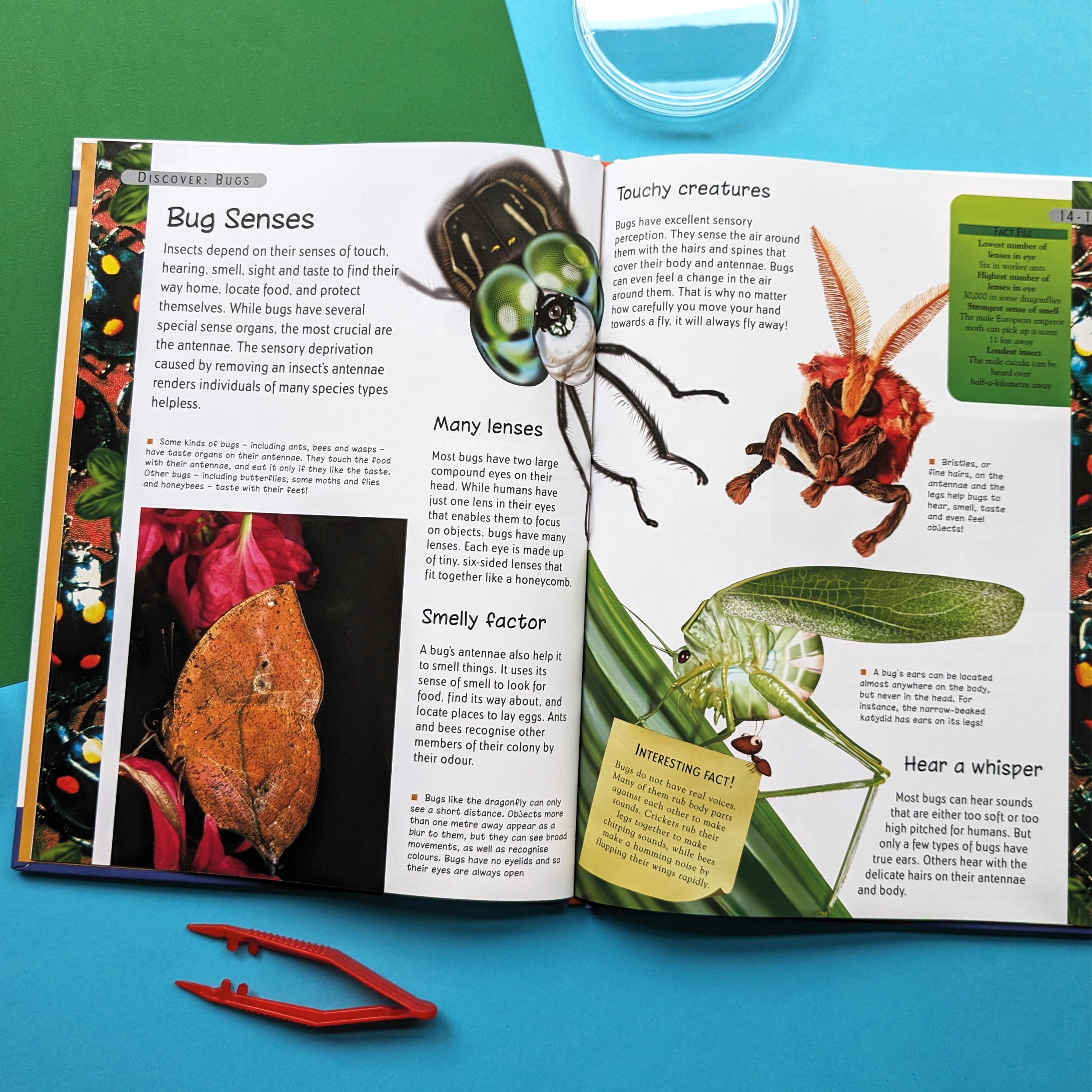 Discover Bugs Educational Box Set – Robert Frederick