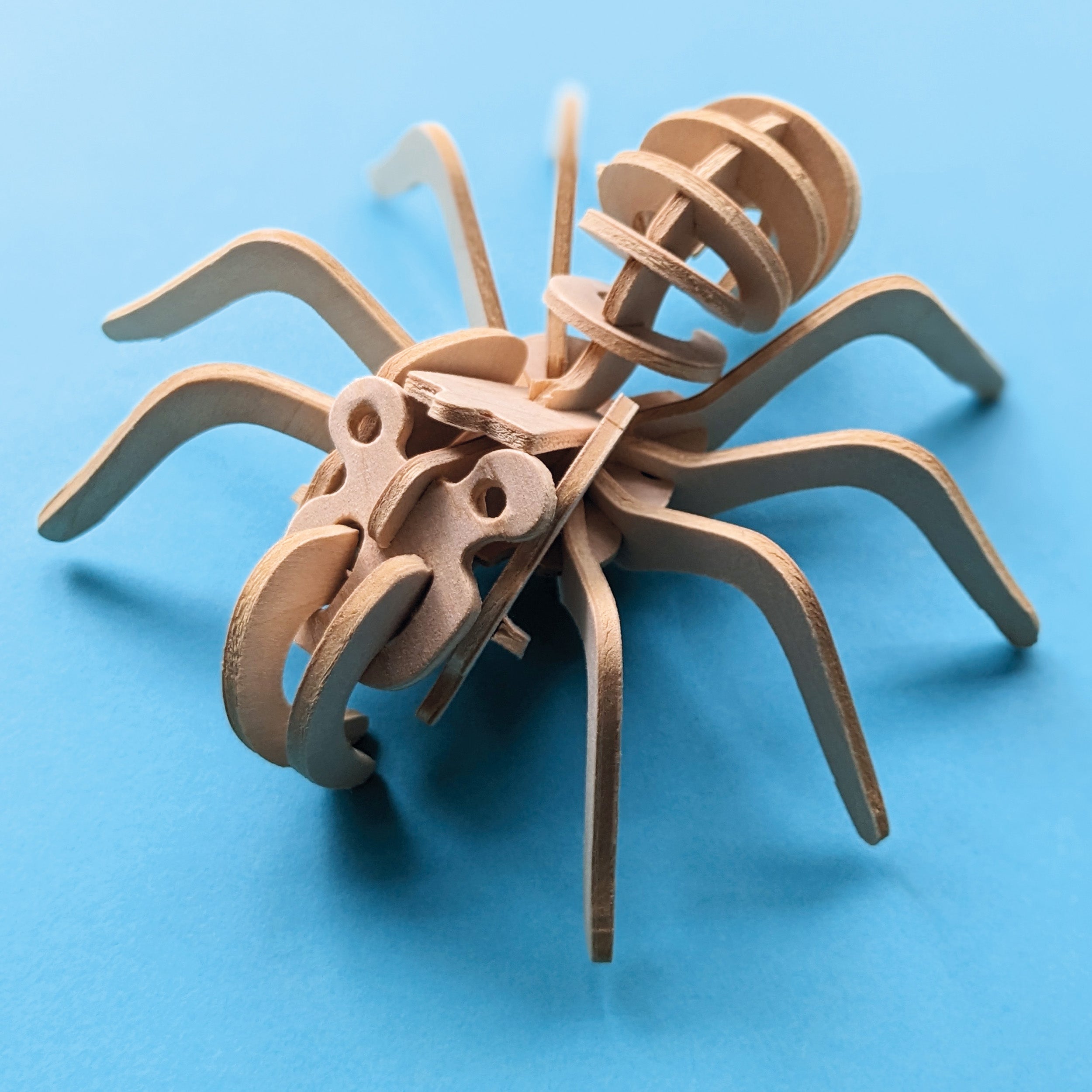 bugbug@様 リクエスト 3点 まとめ商品 Discover Bugs Educational Box Set – Robert Frederick