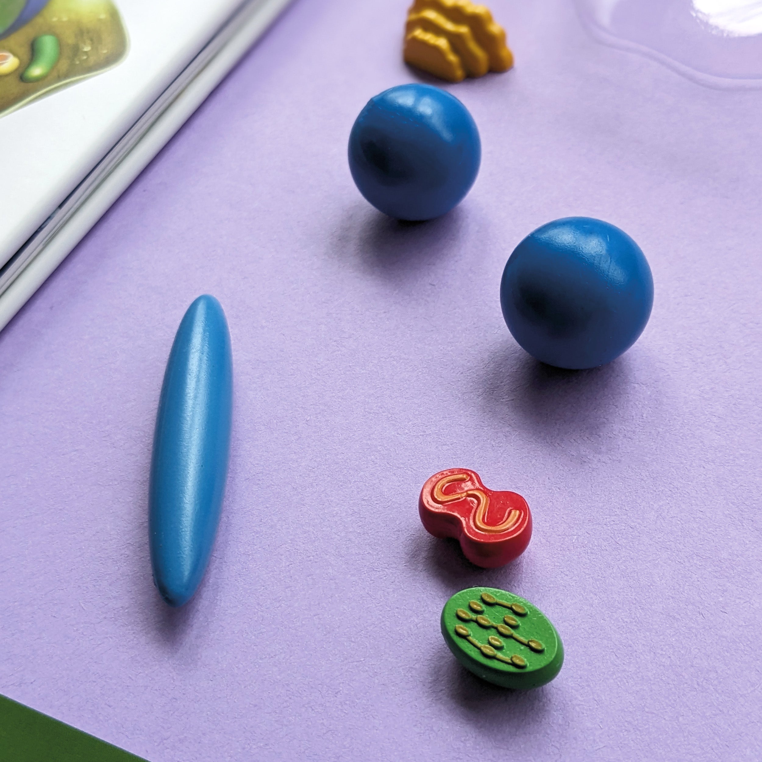 最終在庫✨新品未開封✨BIOTECH BIO WITH ONE βS 6本セット Discover Biology Educational Box Set - Children's STEM Learning