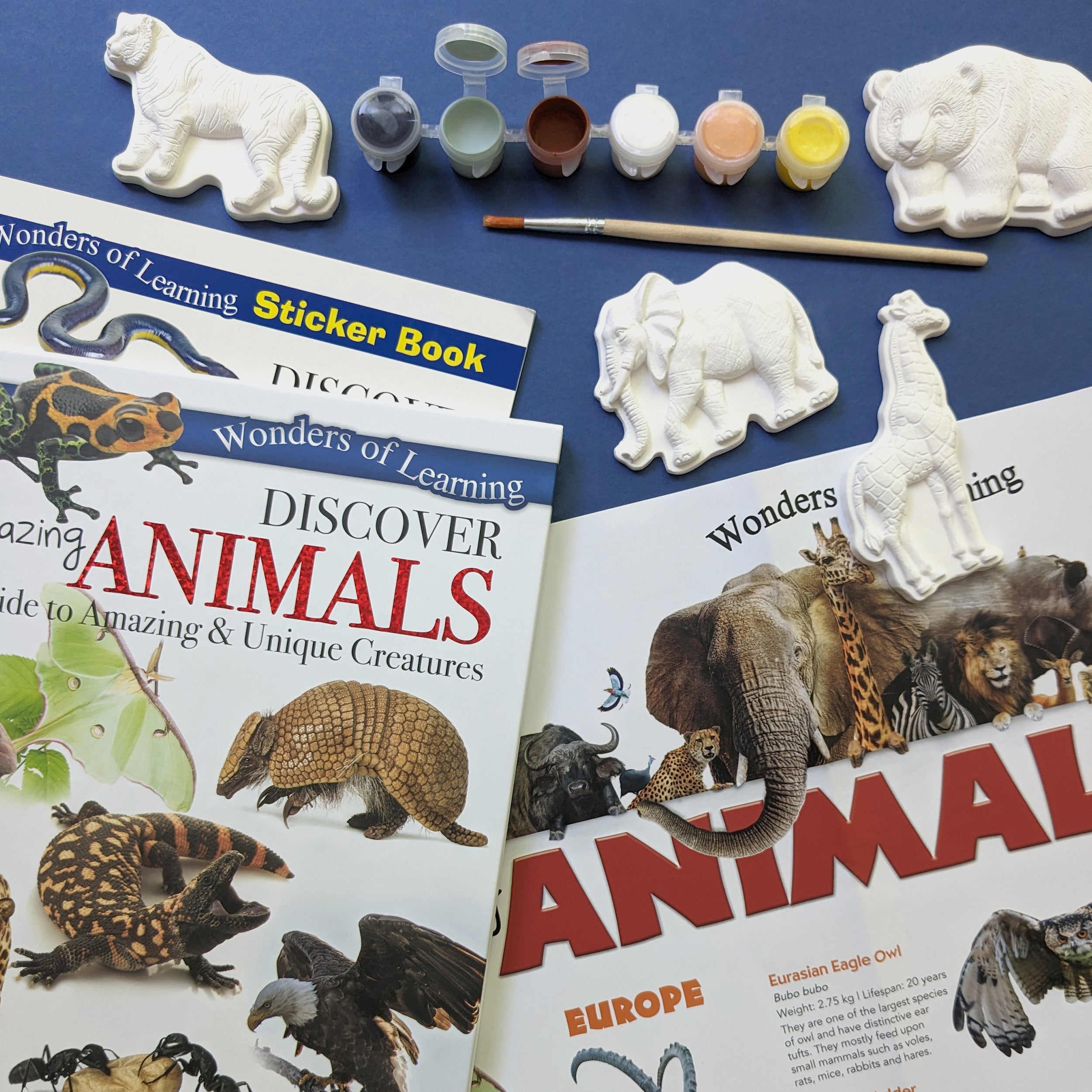 Discover Amazing Animals Educational Box Set – Robert Frederick