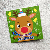 Jigsaw Puzzle & Book Set - Robbie the Reindeer