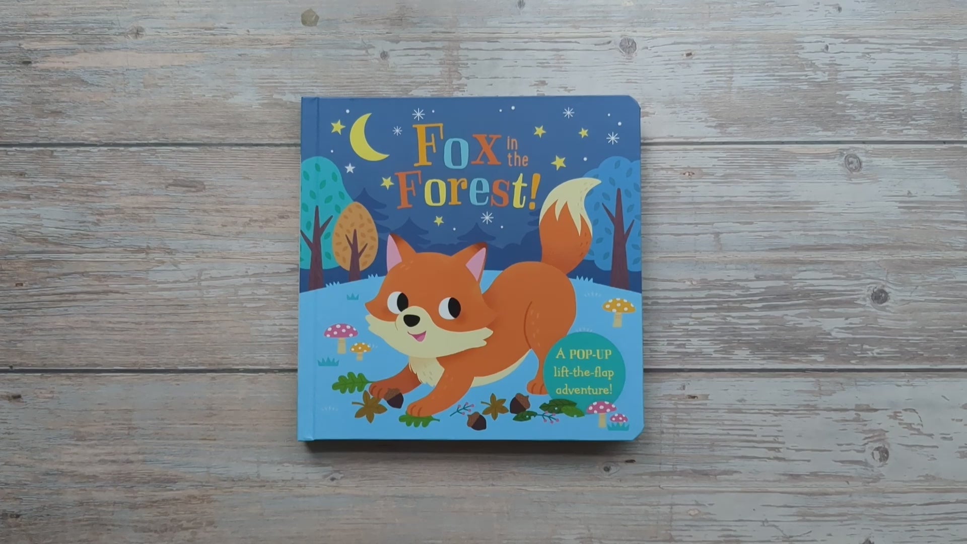 Faces in the forest 森の仲間たち : postcard b… Fox in the Forest – Children's Pop-Up Book – Robert Frederick