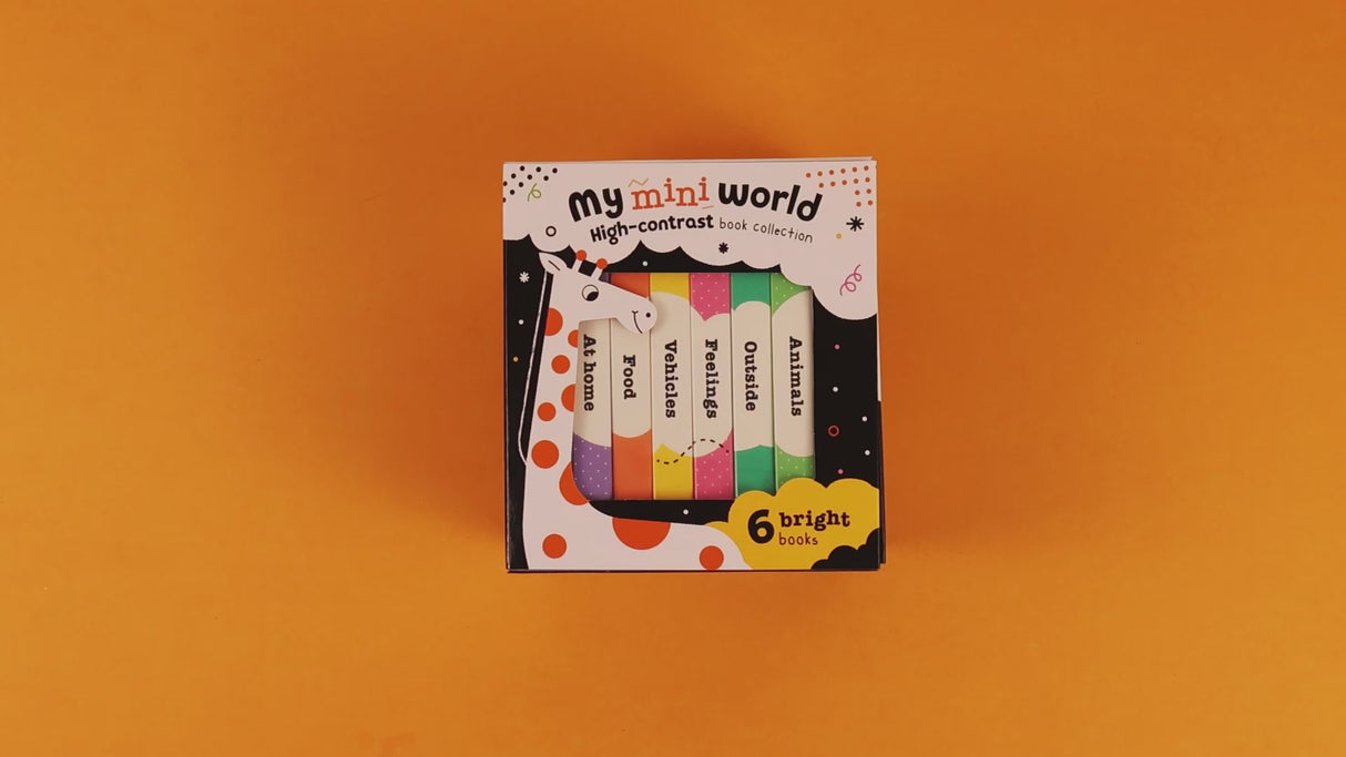 My Mini World – Box Set of 6 High-Contrast Mini Board Books - First Words