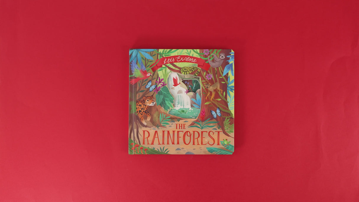 Let’s Explore The Rainforest - Children’s Lift-the-Flap Book