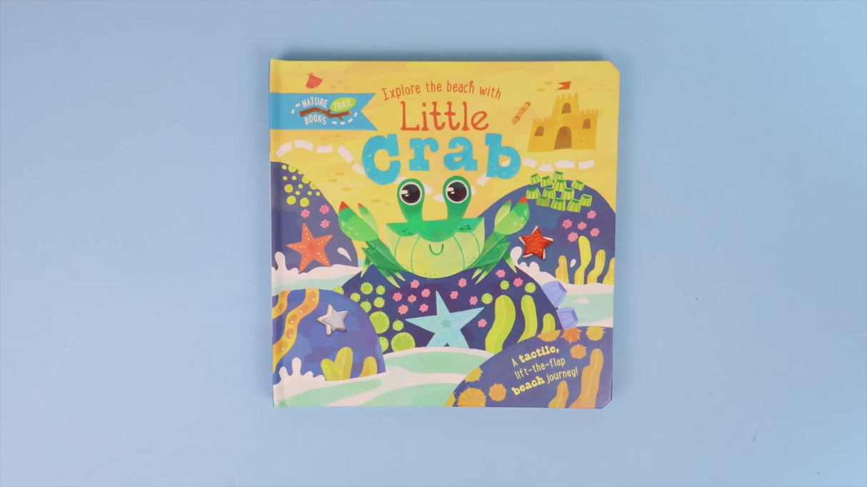 Explore the Beach with Little Crab
