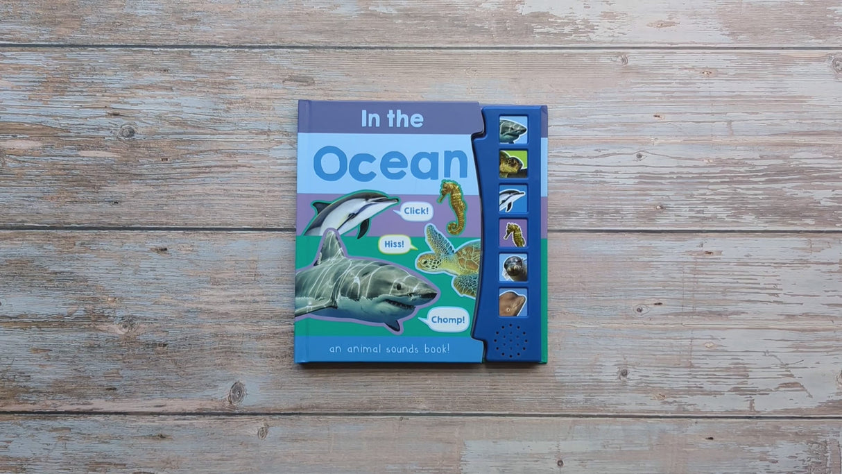 In The Ocean – Children’s 6 Button Sound Book