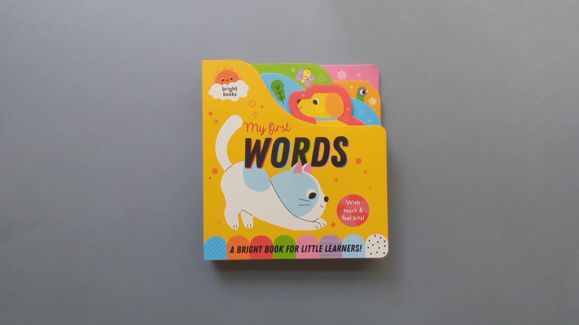 My First Words - Rainbow Colour Board Book – Robert Frederick